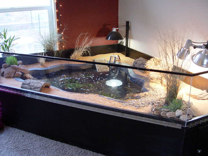 Another excellent indoor pond
