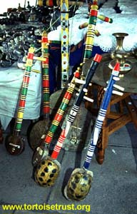 Tortoise
                        'banjos' for sale in Morocco